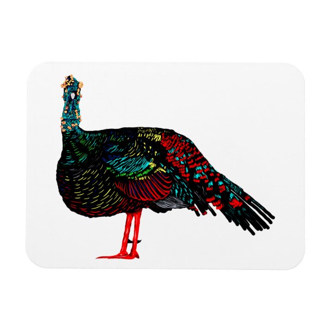 Ocellated Turkey Magnet (Horisontell)