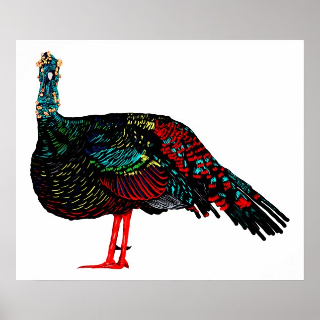 Ocellated Turkey Poster (Framsidan)