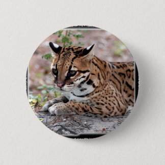 Ocelot 01 11x11 knapp