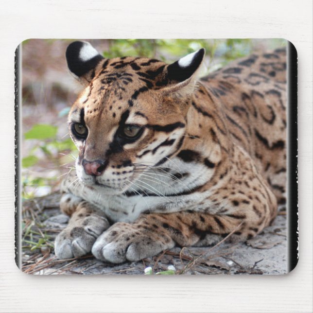 Ocelot 02 11x11 musmatta (Framsidan)