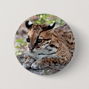 Ocelot 02 9x9 knapp
