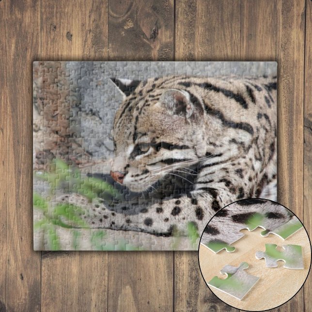 Ocelot Closeup Pussel (Quacking Mallard Duck Jigsaw Puzzle)