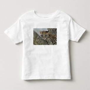 Ocelot, Felis pardalis, i fångenskap, vilande hona T-shirt