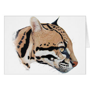 Ocelot Porträtt Hälsningskort
