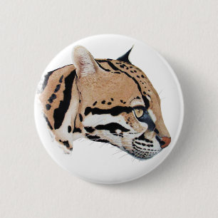 Ocelot Porträtt Knapp