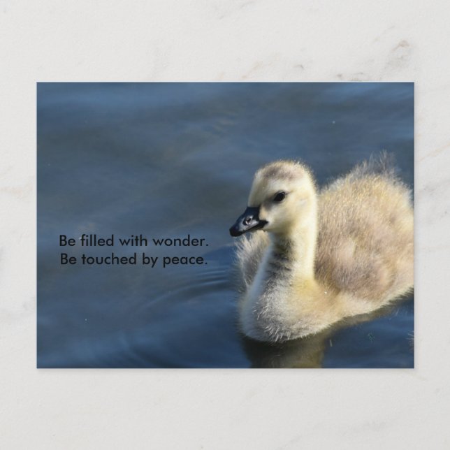  och fred vykort (Framsida)