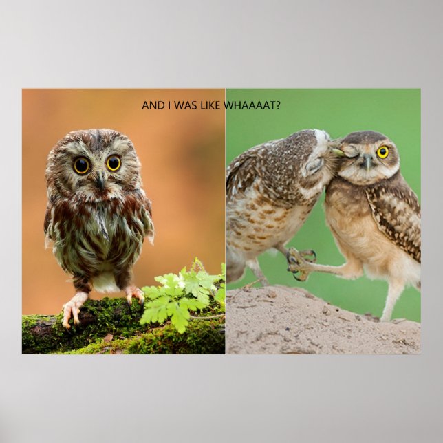 Och jag var som vadaaat? poster (Framsidan)