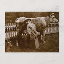 Och Nicodemus katten matades vid vägen Vykort