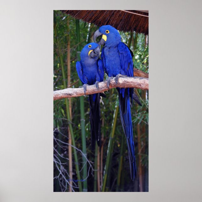 Och sen sa jag poster (Framsidan)