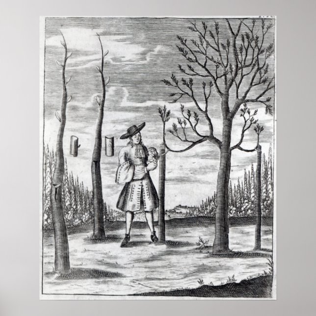  och vegetabiliska Maladies Poster (Framsidan)