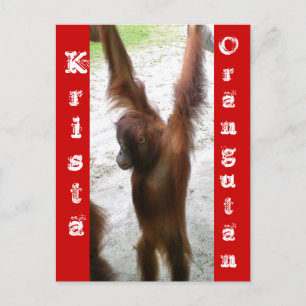 Och vinnaren är Krista Orangutan Vykort