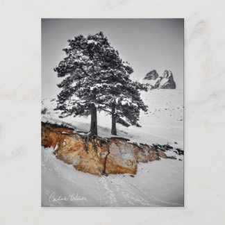 Och Yet det växer Vykort