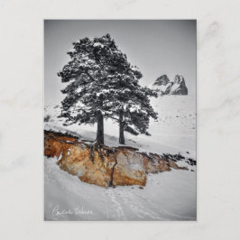 Och Yet det växer Vykort