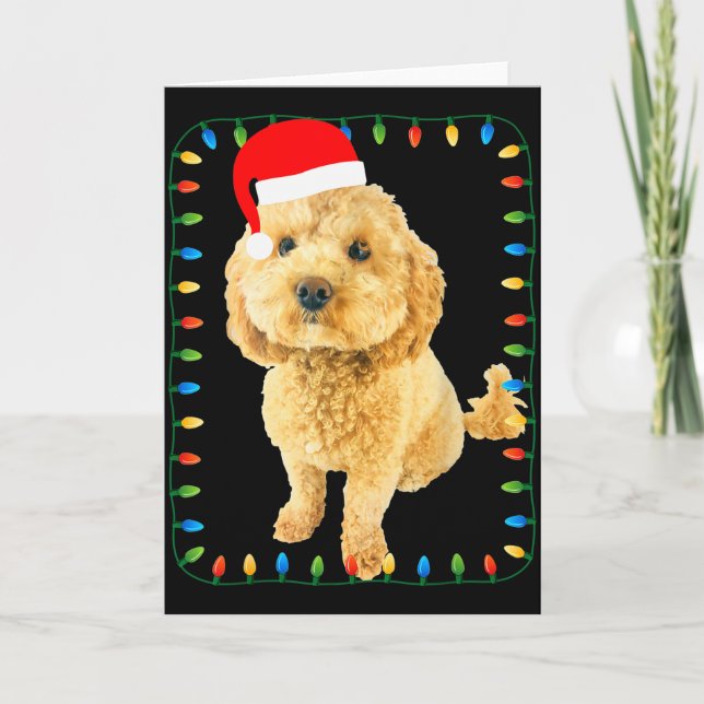 Ochon Puppy Dog Christmas Party Bicho Bichon Odle  Kort (Framsida)