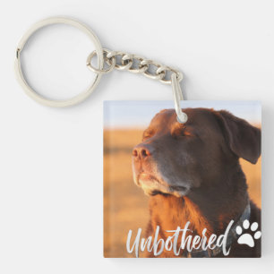 Ochotlig Golden Hour Hund – Premium Minimalist 