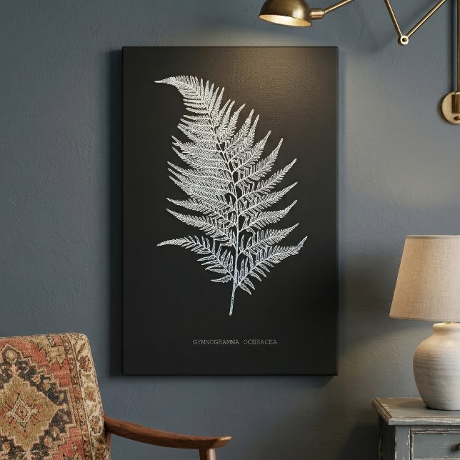 Ochre Fern Frond, Gymnogramma Ochracea Canvastryck (Ochre Fern Frond, Gymnogramma Ochracea. Canvas Print)