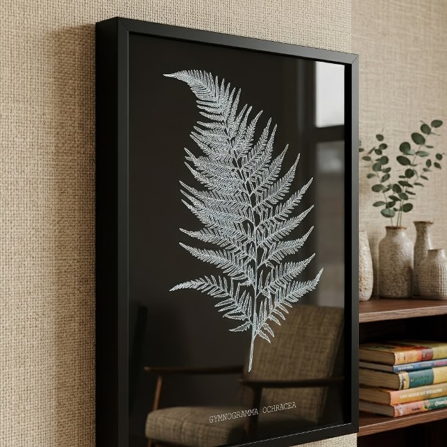 Ochre Fern Frond, Gymnogramma Ochracea Fototryck (Ochre Fern Frond, Gymnogramma Ochracea. Photo Print)