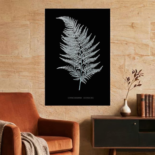 Ochre Fern Frond, Gymnogramma Ochracea Poster (Ochre Fern Frond, Gymnogramma Ochracea. Poster)