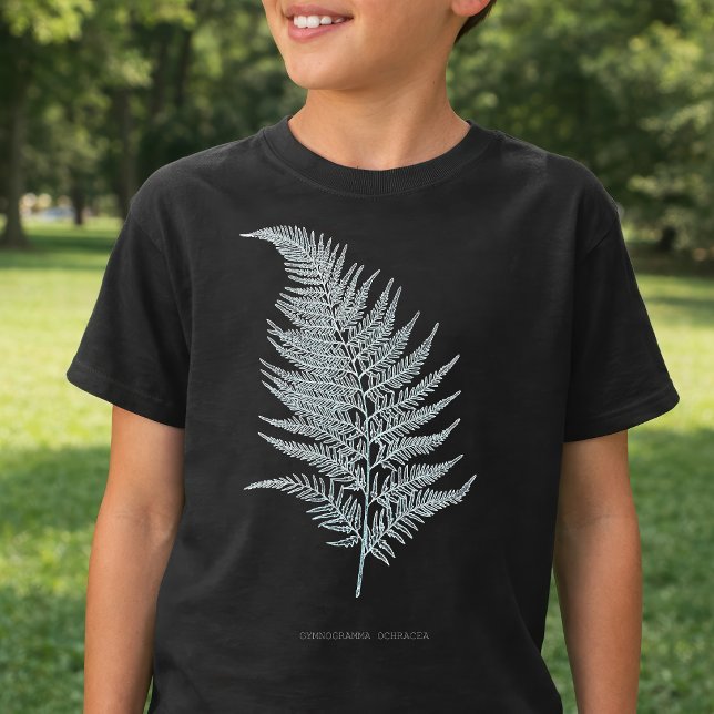 Ochre Fern Frond, Gymnogramma Ochracea T Shirt (Ochre Fern Frond, Gymnogramma Ochracea. Boy Basic Black T-Shirt)