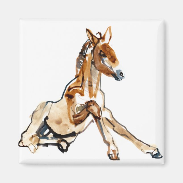 Ochre Foal Magnet (Framsidan)