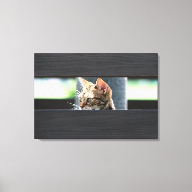 Ocicat 4 canvastryck (Framsida)