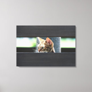 Ocicat 4 canvastryck
