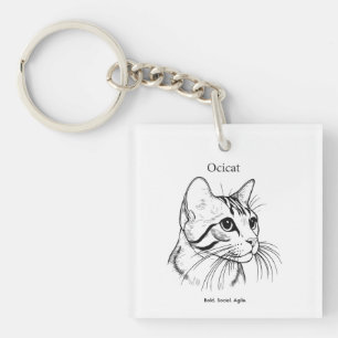 Ocicat Cat Porträtt