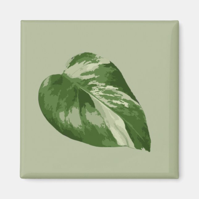 Ockra Monstera Albo Magnet (Framsidan)