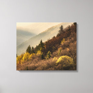 Oconaluftee Valley Överblick North Carolina Canvastryck