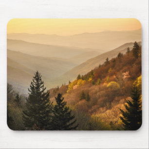 Oconaluftee Valley Överblick   North Carolina Musmatta