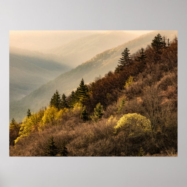 Oconaluftee Valley Överblick | North Carolina Poster (Framsidan)