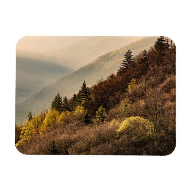 Oconaluftee Valley Overlook | North Carolina Magnet (Horisontell)