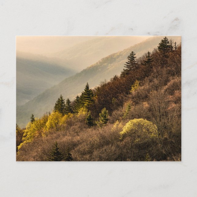 Oconaluftee Valley Overlook | North Carolina Vykort (Framsida)