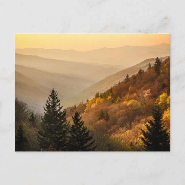 Oconaluftee Valley Overlook | North Carolina Vykort (Framsida)