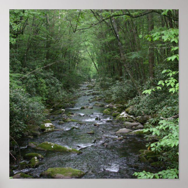 Oconuluftee River View Poster (Framsidan)