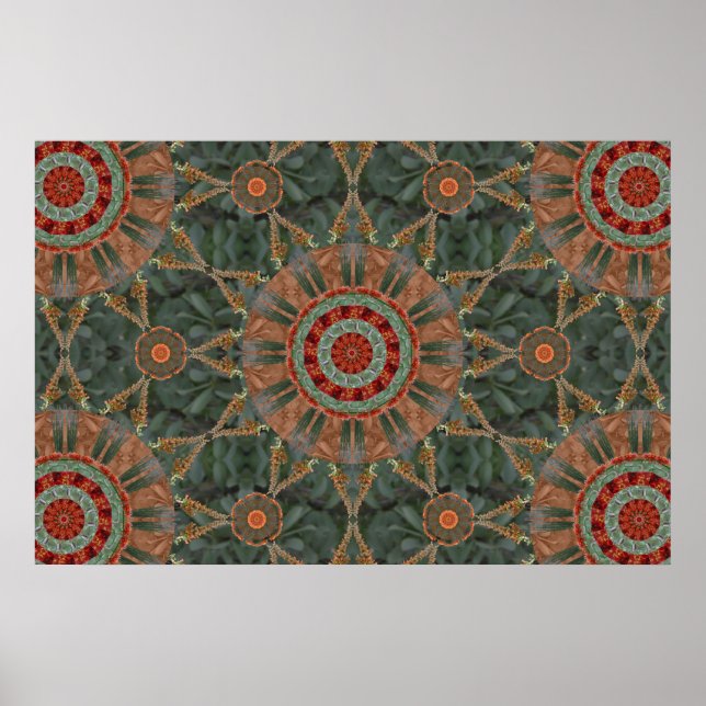 Ocotillo Array 1 Poster (Framsidan)