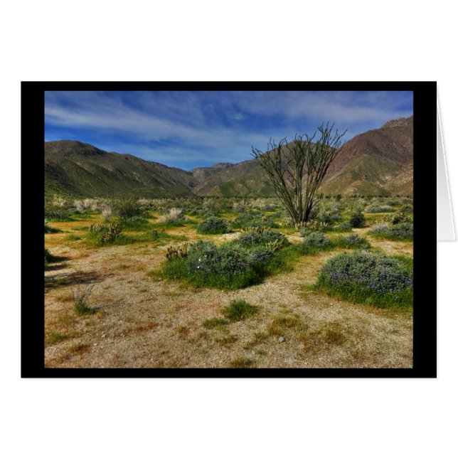 Ocotillo Borrego Springs 2017 Hälsningskort (Framsidan Horizontal)