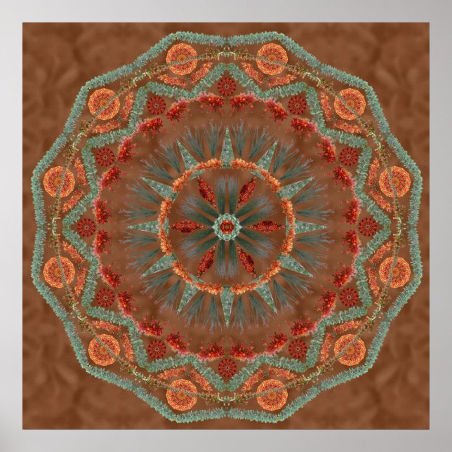 Ocotillo Mandala 1 Poster (Framsidan)