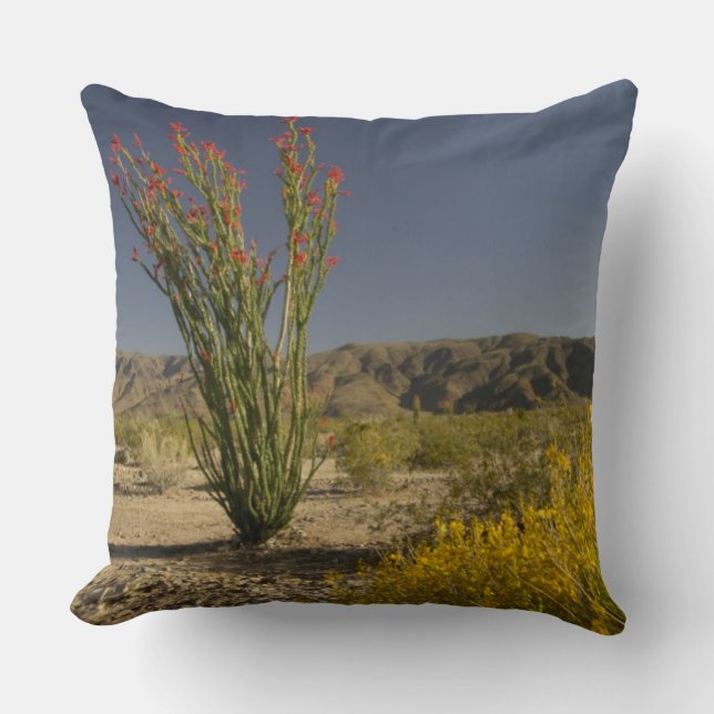 Ocotillo och öken senna kudde (Framsida)