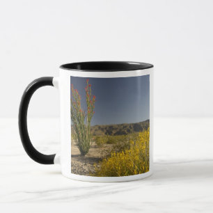 Ocotillo och ökensenna mugg