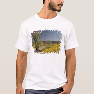Ocotillo och ökensenna tee