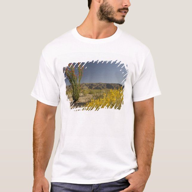 Ocotillo och ökensenna tee (Framsida)