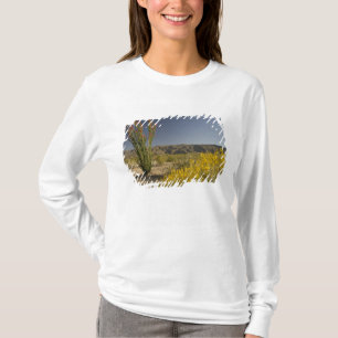 Ocotillo och ökensenna tee