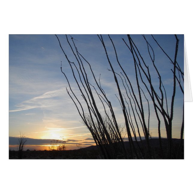 Ocotillo sunrise hälsningskort (Framsidan Horizontal)