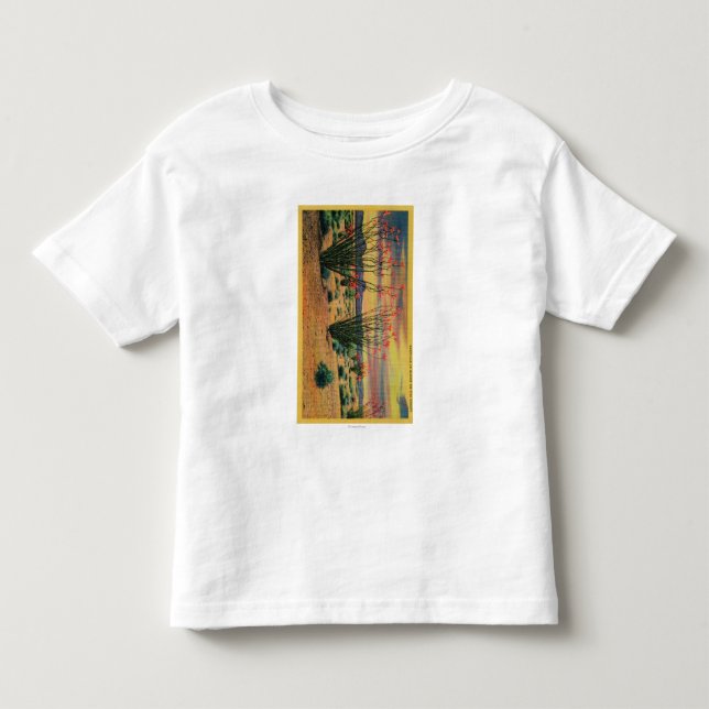 Ocotilloen blommar i blom, Kalifornien DesertStat Tee Shirt (Framsida)