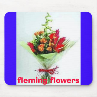 oct 20 thbilder av huset 082, fleming fl… musmatta