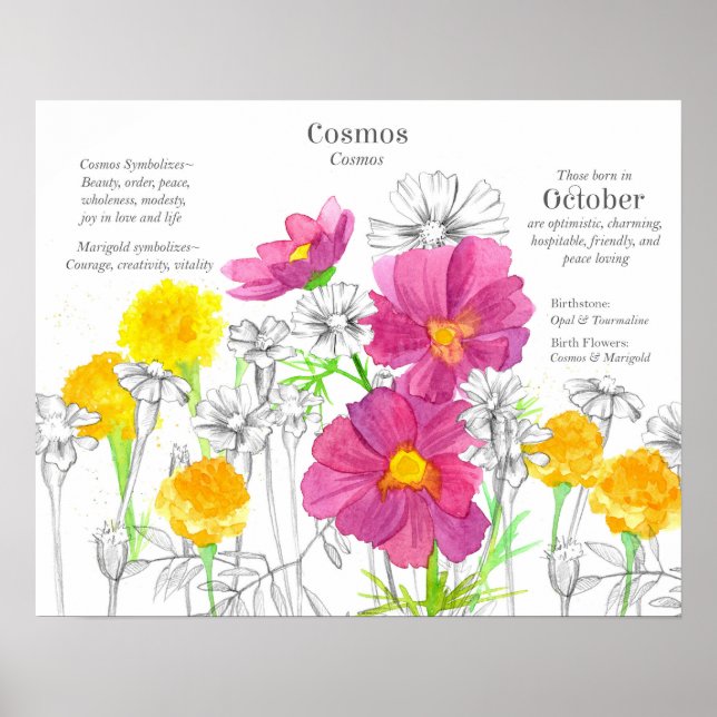 October Birth Flower Language of Flowers Marigold Poster (Framsidan)