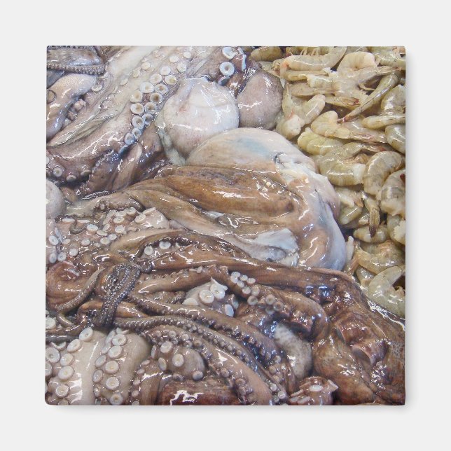 Octopi Magnet (Framsidan)