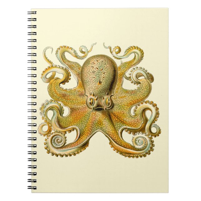 Octopus antique illustration sea monster anteckningsbok med spiral (Framsidan)