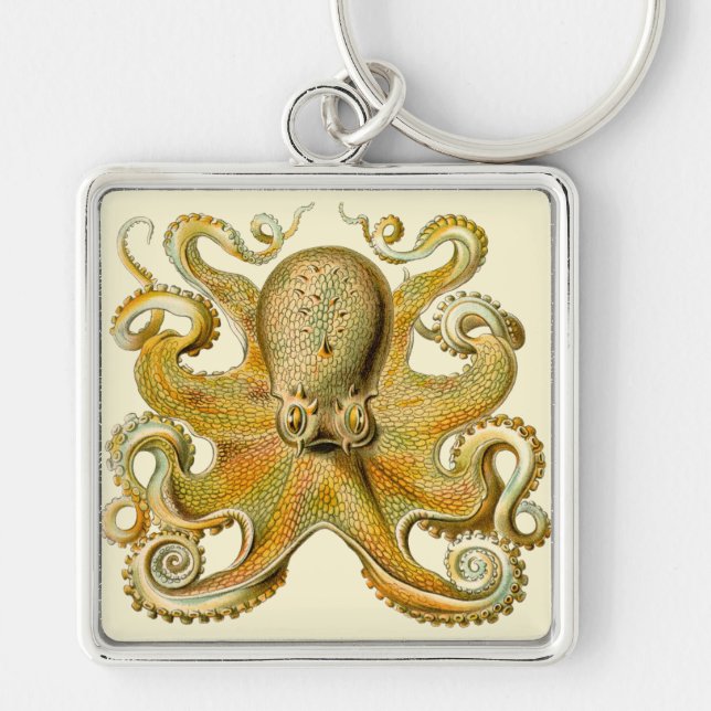 Octopus antique illustration sea monster fyrkantig silverfärgad nyckelring (Framsidan)